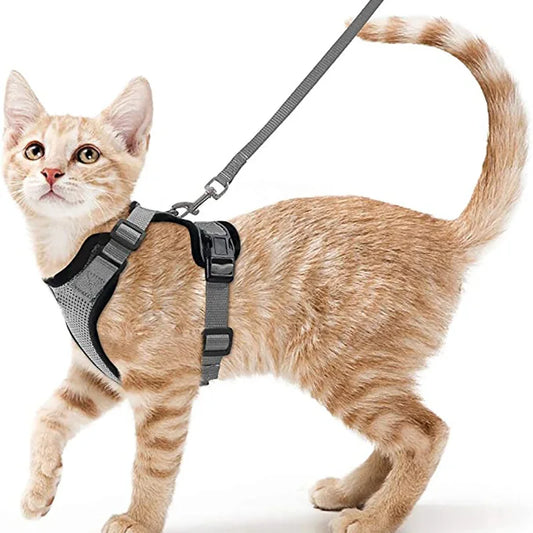 Soft Cat Harness & Leash
