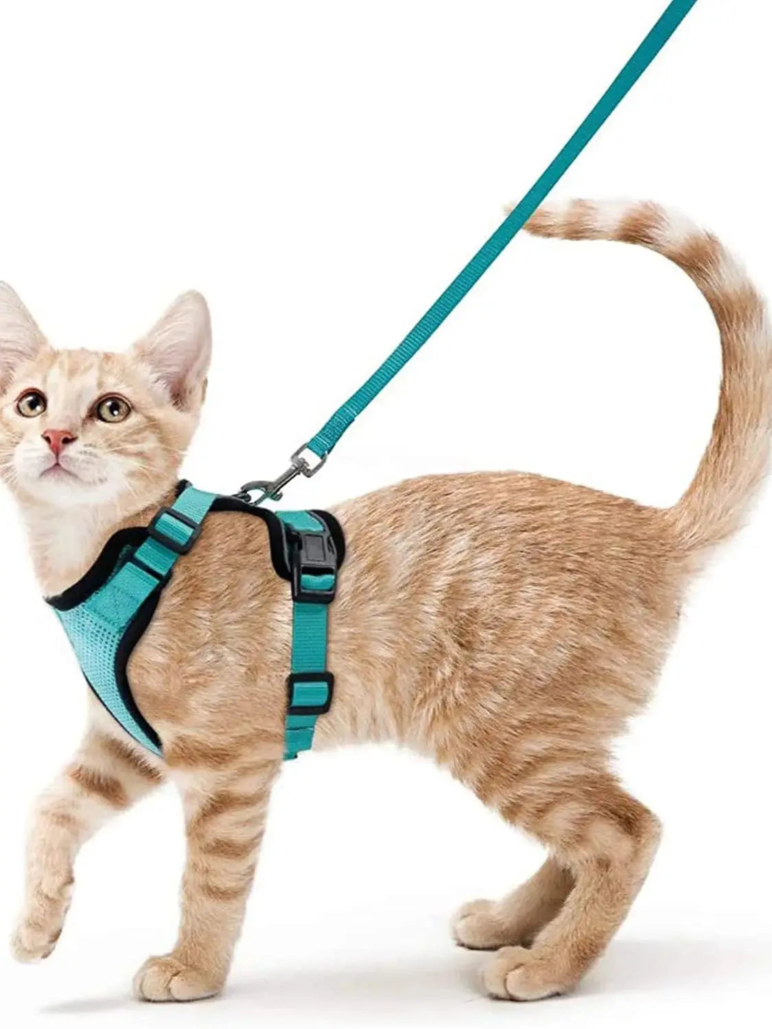 Soft Cat Harness & Leash