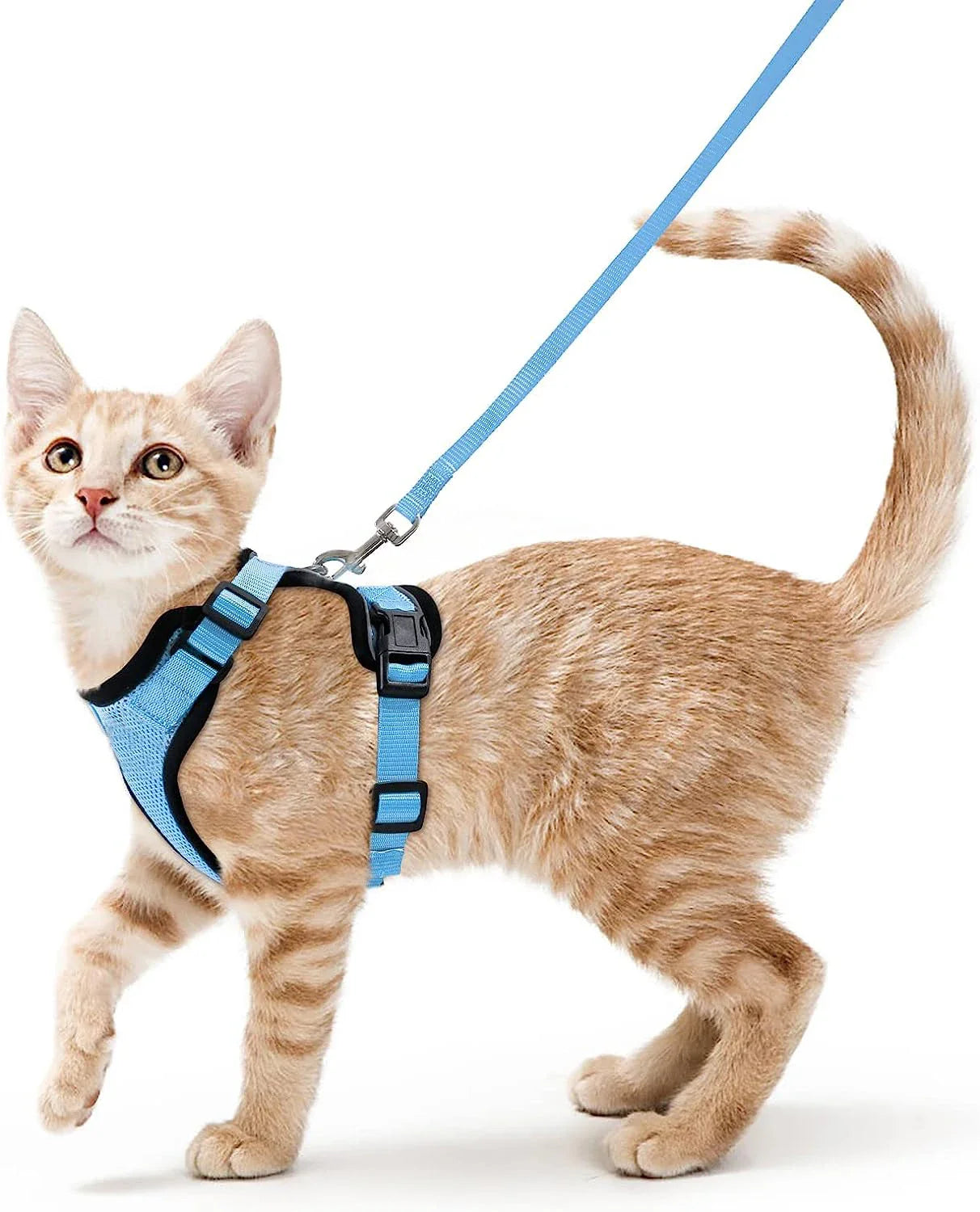 Soft Cat Harness & Leash