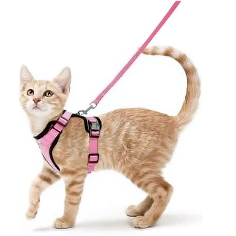 Soft Cat Harness & Leash