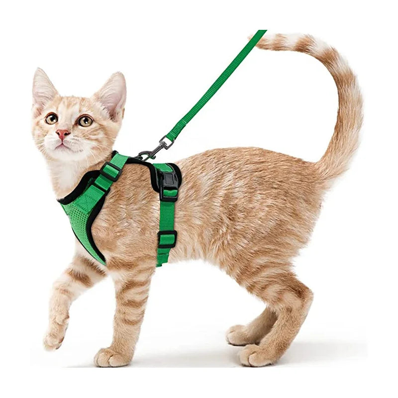 Soft Cat Harness & Leash