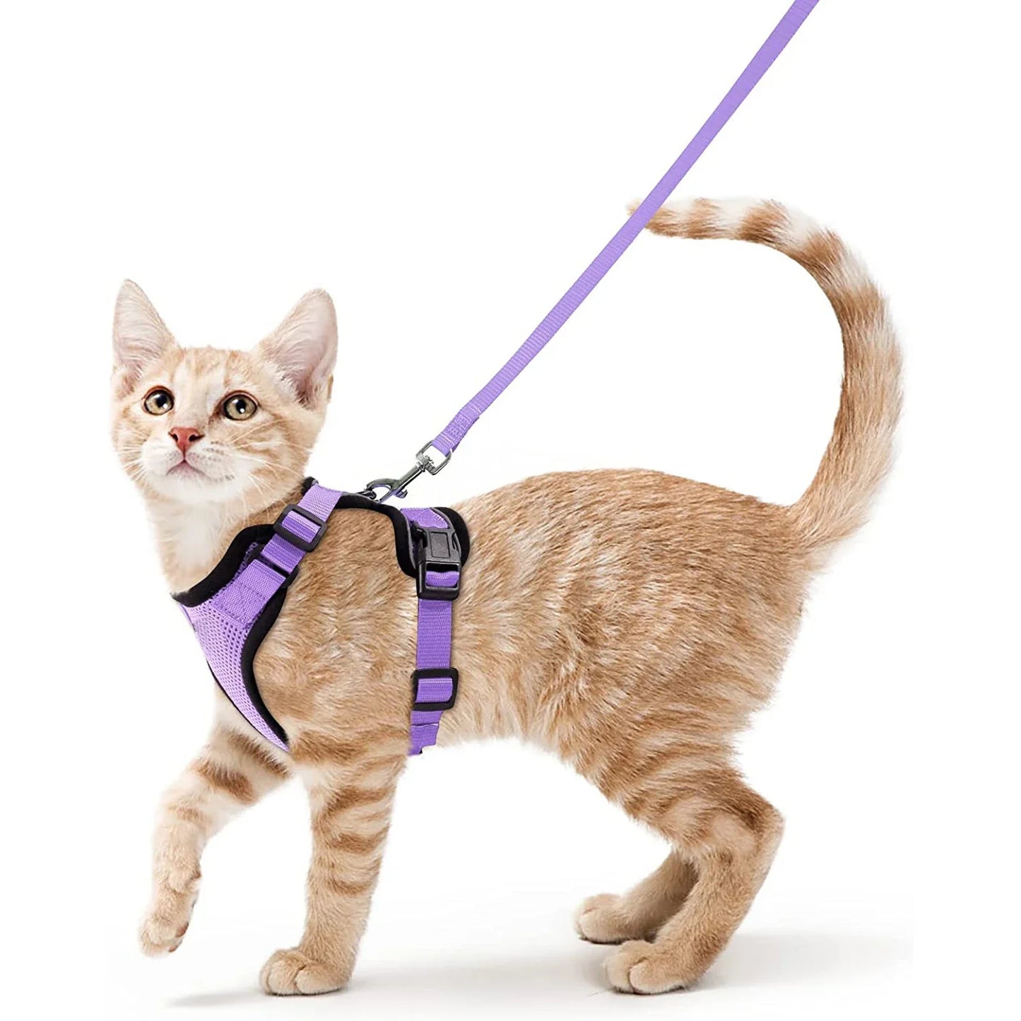 Soft Cat Harness & Leash