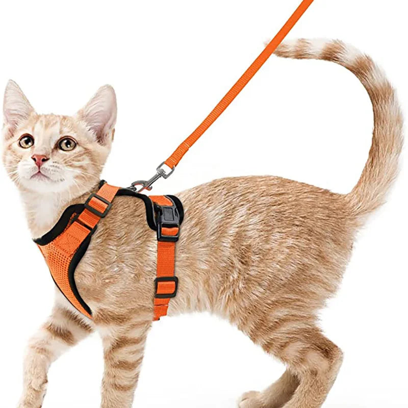 Soft Cat Harness & Leash