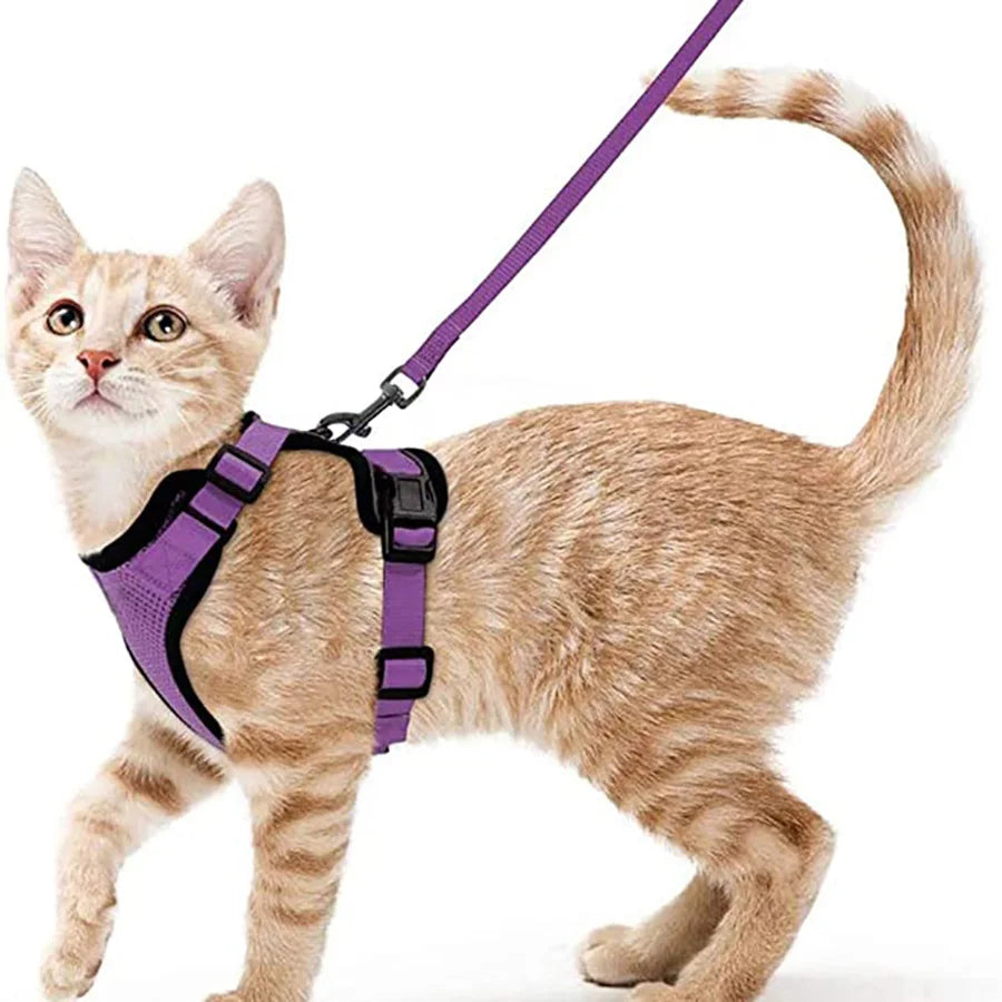Soft Cat Harness & Leash