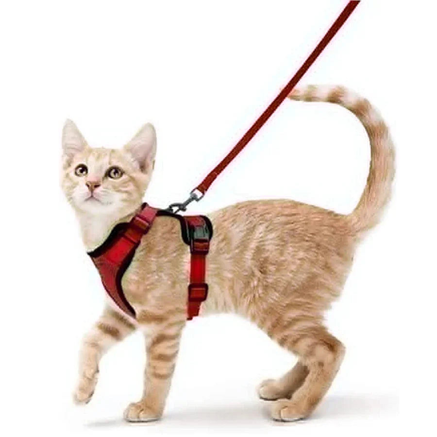 Soft Cat Harness & Leash