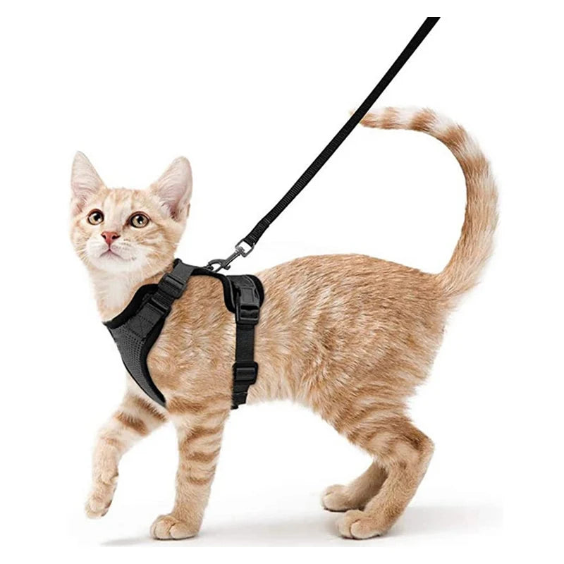 Soft Cat Harness & Leash