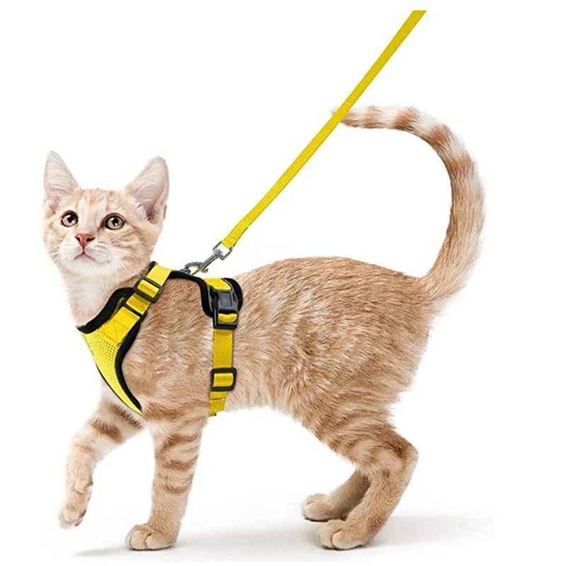 Soft Cat Harness & Leash